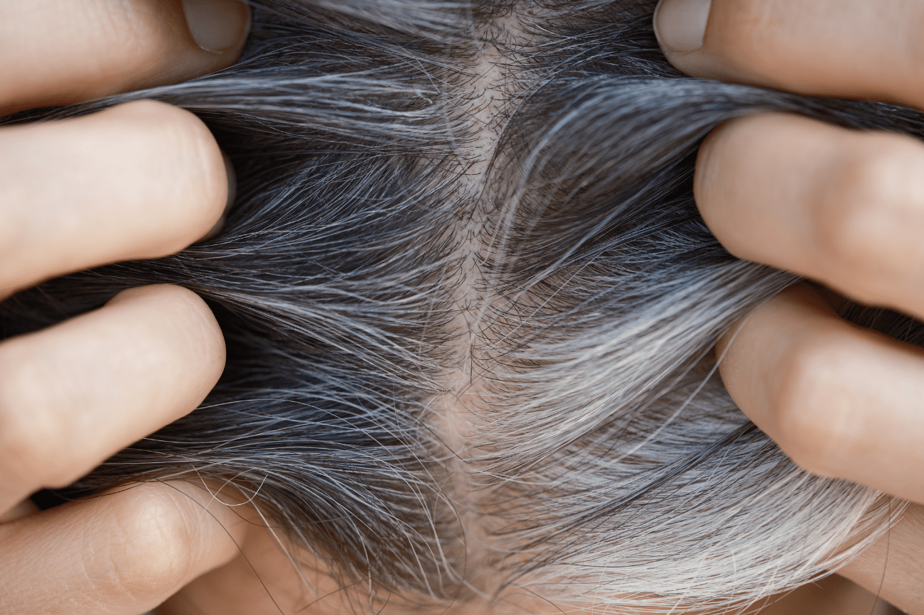 Färbetechniken für graues Haar: Tipps und Tricks - Paul Mitchell